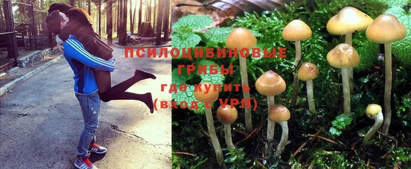 ALPHA-PVP Магадан