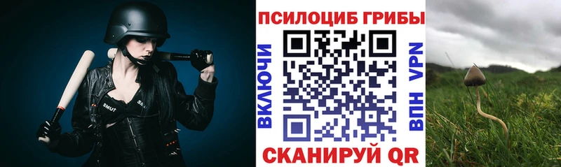 Псилоцибиновые грибы MAGIC MUSHROOMS  Чердынь 